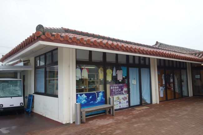 お土産屋さんもあります。