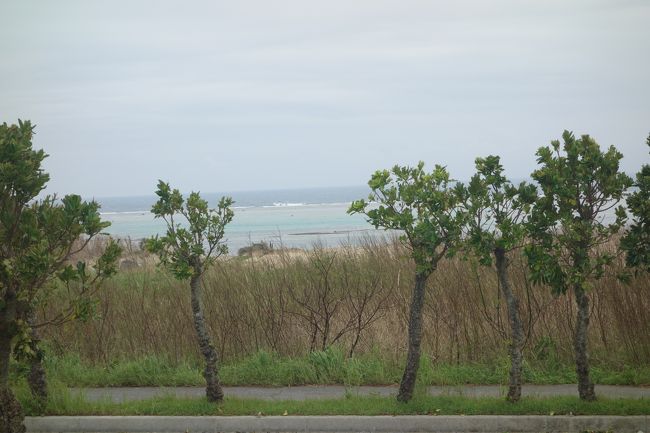 今日も天気はいまいち。<br /><br />けど、暑すぎないからテラスで食べるとちょうどいいかも・・・