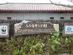 食事のあとは、白保集落へ・・・