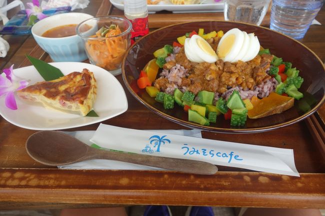 こちらのゴーヤは、我が家で食べるのより苦い気が・・・<br /><br />長男、ゴーヤすべてよけて食べるという・・・