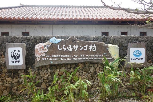 食事のあとは、白保集落へ・・・