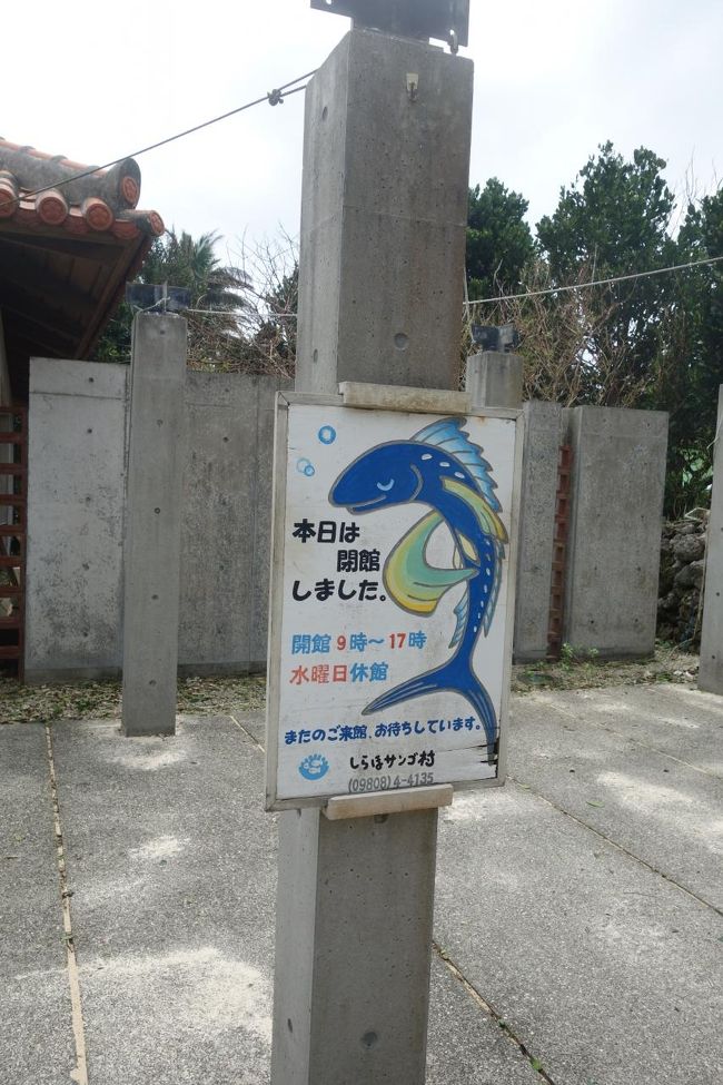 休みじゃ〜ん。