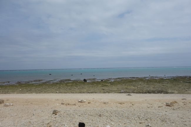 うみは、青サンゴの群落で緑っぽい。