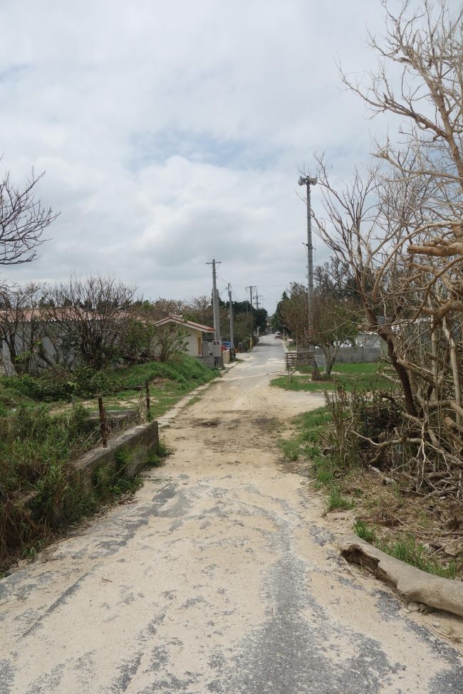 誰も歩いていない。