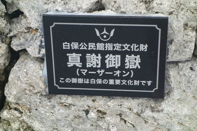 こういう名前らしい。<br /><br />なんか、戦闘テレビに出てきそう。