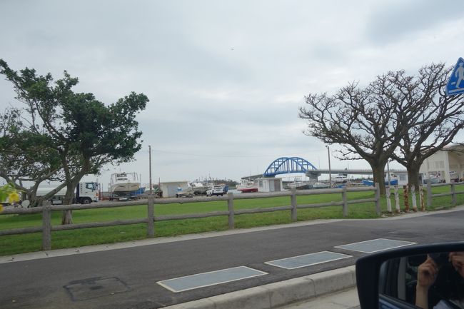 港に戻ってきました。