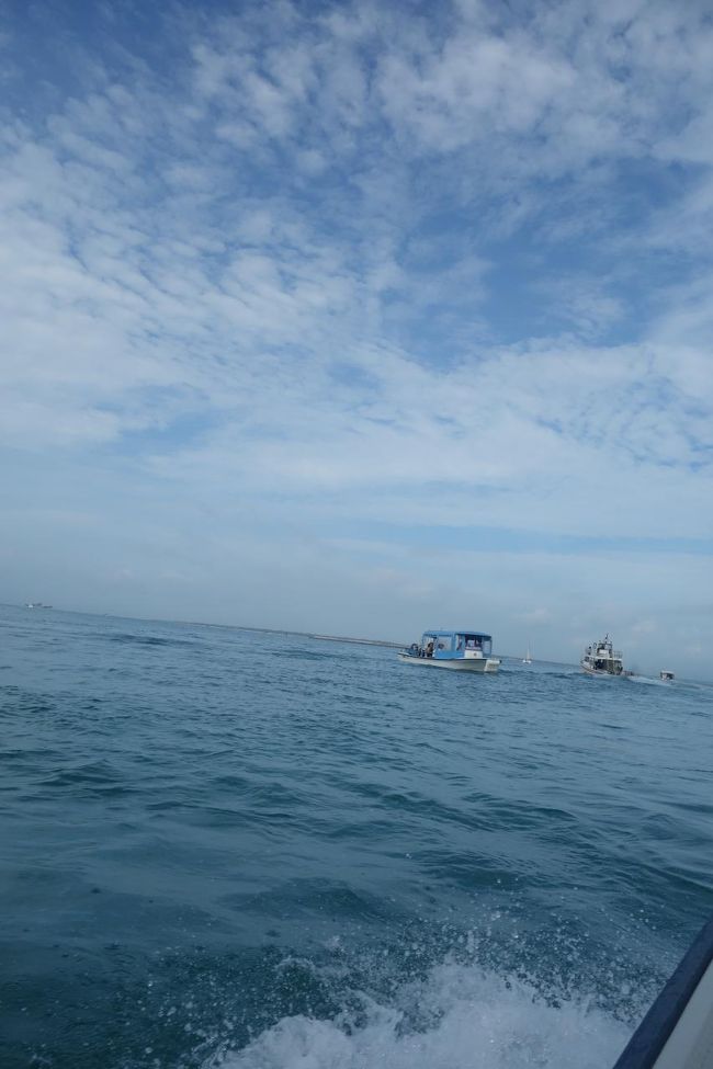 海がきれい。<br /><br />これから、幻の島で遊んでから、シュノーケルしました。<br /><br />幻の島は、干潮時にできる三日月の島です。<br /><br />シュノーケルは、今年事故も多かったので不安でしたが、ウエットスーツ着用だし、ガイドさんが、数人に一人ずつ付き、浮き輪を引っ張ってくれるので、安心。<br /><br />最初つきました。と言われ、下を見たらあまりの深さで足がつかないところで泳げない私は、怖かったのですが、浮き輪をしっかりつかんでいいポイントに連れて行ってもらい、あまりのきれいさに感動しました。<br /><br />ツアーでいくのがおすすめです。