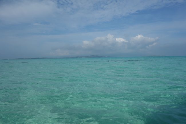 夕方の便で帰るので、離島はあきらめて、石垣港から出るツアーにしました。