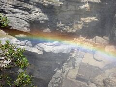 　　それから今度は93号線をがんがんと南へくだりまして、Athabasca Fallsを見に参りました。こっちの滝がよろしうございますよ！水しぶきをバンバンと上げておりまして、あるポイントに行きますというと、この時間にはものの見事に丸い虹を見ることができるんでございます。しかし、みんながみんなそれを知っているわけではなくて、知っている奴だけが知っているぅぅぅ♪というところがよろしうございます。うふふふ、でございます。