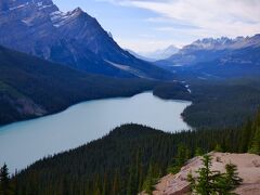 　　Peyto Lakeでございます。ここまで来ればバンフまであと100kmほどでございますよ。