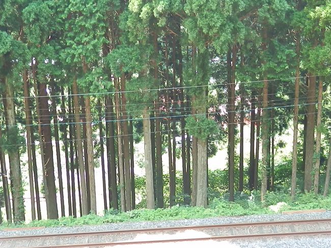 2015“乗り鉄”に及ばない旅行!vol.4(“乗り鉄”失格な観光列車の旅!)