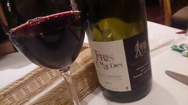 2011 Roches Neuves, Terres Chaudes,Saumur Champigny<br />カベルネ100％のワイン。Terresが大地　Chaudesが暑い。<br />新しいワインを作りたくてボルドーから来た作り手さんによる、青臭さの残る葡萄を用いたワイン