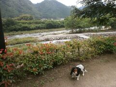 道の駅【おおやま】総合評価；2.0　じゃらん（-）位

立　　　地：☆☆★★★
駐 車 場 ：☆☆☆★★　EV充電×
 WiFi 接続：☆★★★★
隣接施設：☆☆★★★
 ‖WC‖　：☆☆☆★★
産直市場：☆☆☆★★
レストラン：☆☆★★★
環境眺望：☆☆☆★★

ペット不可ヽ(`Д´)ﾉ　(´・ω・｀)ｶﾞｯｶﾘ…