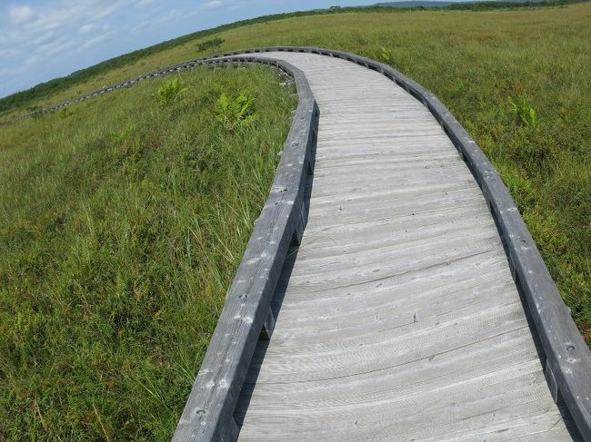 北海道釧路町の大自然 絵画「春近し湿原」 1枚（M6号サイズ
