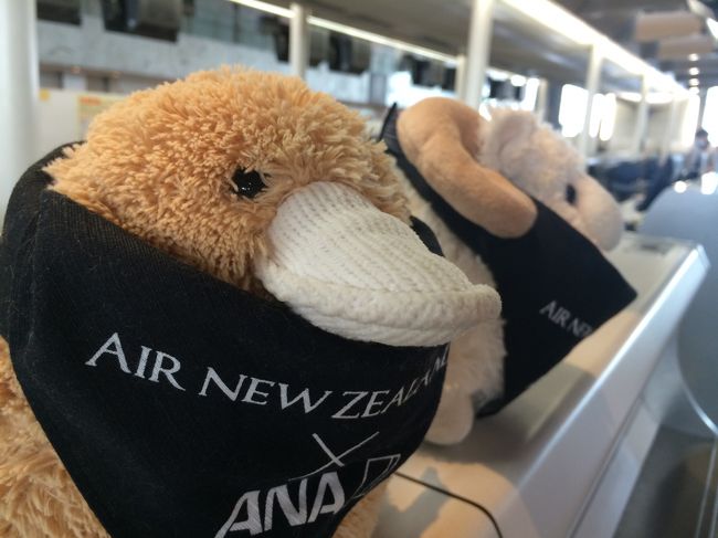 初！ニュージーランド航空！<br /><br />評判がよいので楽しみ(^ω^*)<br /><br />18:30 成田発<br />翌日 8:40 オークランド発<br />11:20 オークランド発<br />12:40 クライストチャーチ着