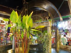 今度は動くものを撮ってみましょう