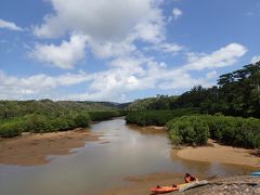 7/30
次の日です。

今日はあまり行かないエリアへドライブ。
ヤンバルクイナのいるやんばる方面に向かいました。

そして、その途中にある東村のヒルギ林に。
おおっ、マングローブです！
