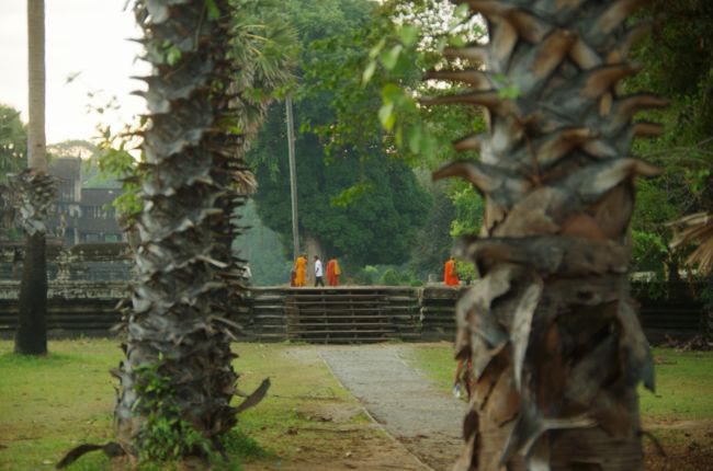 キョロキョロしていると遠方にお坊さん発見！<br />視力1.5の力を発揮しました