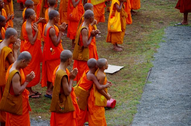 飽きちゃったのかな？<br />仲良し小坊主さん