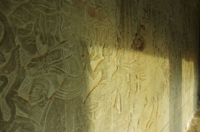 では私も内部の見学を開始しますかね