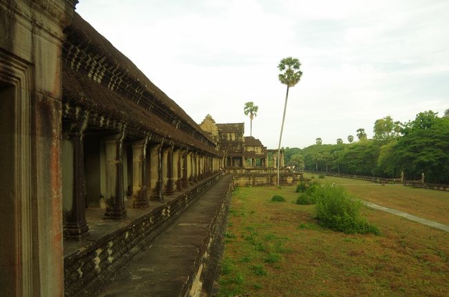 しかし、広そうだな、さすがアンコールワット