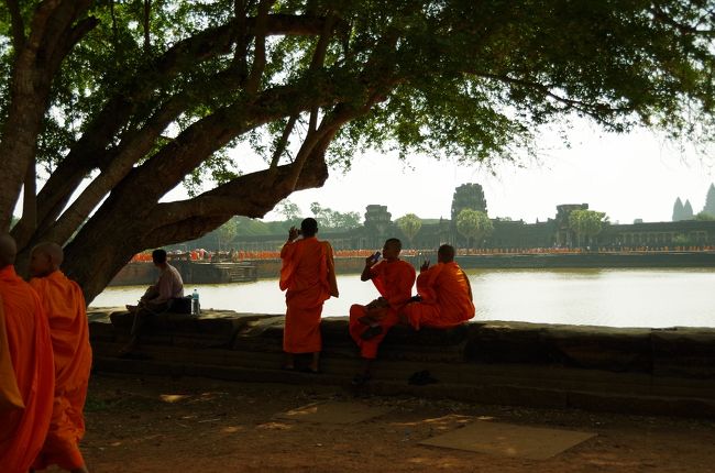 スマホで撮影していました<br />文明の利器でございます