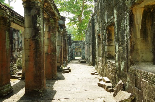 誰もいなくて心細くなるくらい