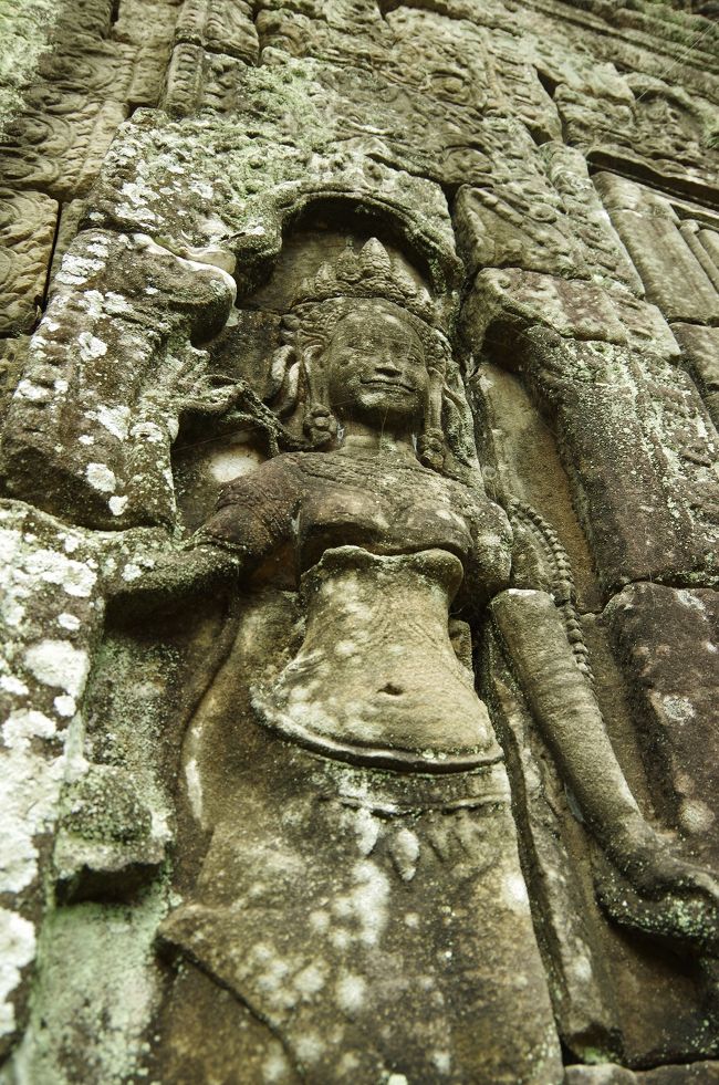 なかなかどうして見ごたえ抜群