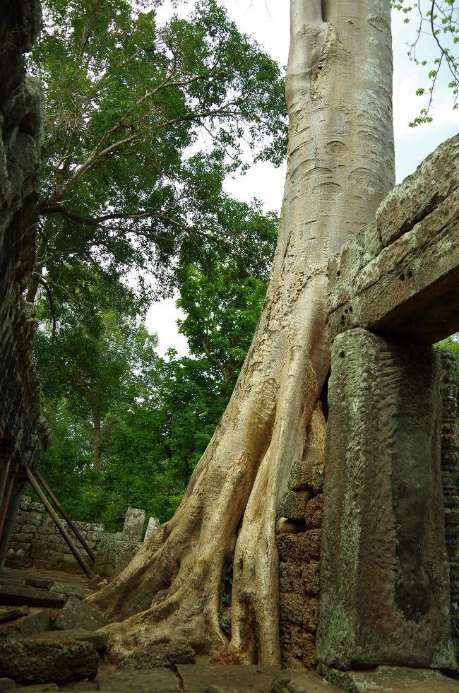 きっとフラーっと歩くだけなら30分から1時間もあれば十分でしょう