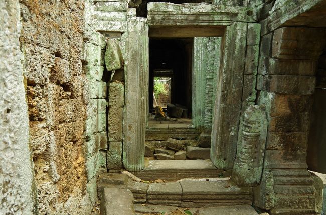 でも、何か面白いものはないか、あっち行ったり