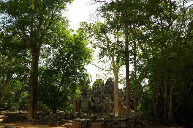 ちょっと離れてみてみたり