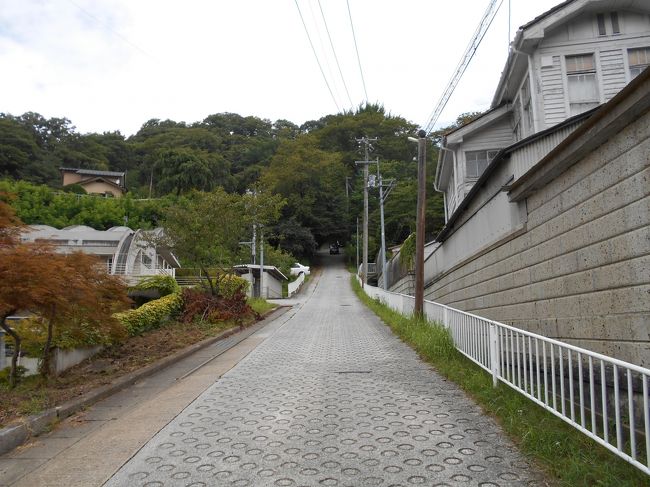 岩代三春 仙道地域に進出の佐竹氏ら周辺の有力大名に対抗するため伊達政宗に一人娘を嫁がせた田村清顕居城三春城訪問