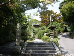 海蔵寺　山門前にて

海蔵寺も、いろんな花が楽しめますが、萩の名所の一つです。