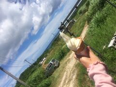 石垣島北部、明石集落の手前にあるジェラートやさん
ミルククラウン
純粋な素材感がすごく美味しかったです。ワンコ用のアイスもありました