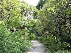 宝戒寺の参道

こちらは白萩で有名ですが、まだ全然咲いていませんでしたので、入り口で失礼しました。
