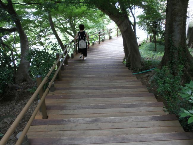 木造りの階段を降りていきます。