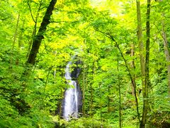 ホテルのシャトルバスの終点地点である、雲井の滝に到着。　見ごたえのある、凄く立派な滝です!