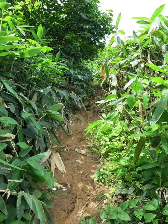 出発は9:38<br />駐車場の脇から入って行く。いきなりこの悪路。<br />両側からの藪、おまけにひどく滑る粘土質の道。<br />人が通っていない感じ、これで百名山か！？