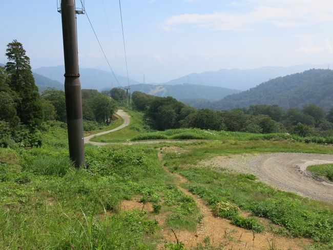 結局、和田小屋への車道に合流する。<br />車道と言っても、和田小屋利用者しか通行できないので、車はあまり来ない。<br />少々長くなるが、この車道を歩いた方が数段楽だ。