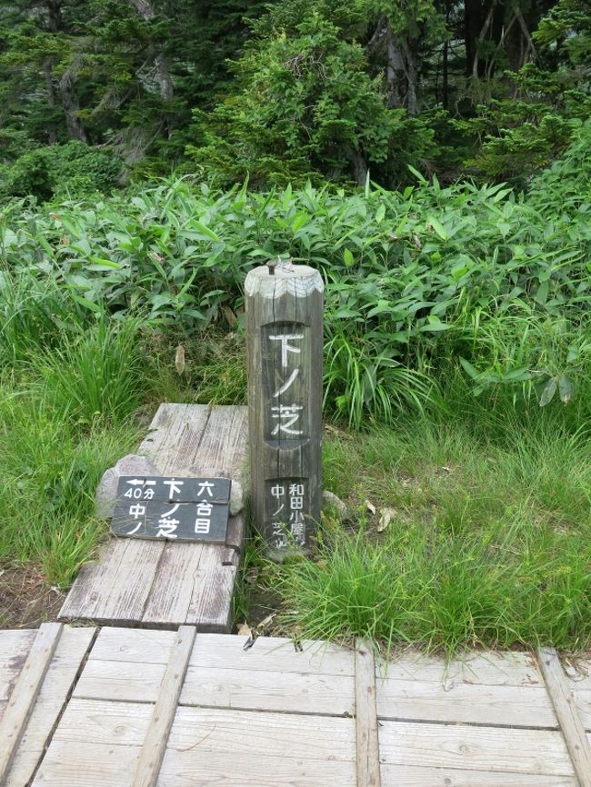 最初の休憩ポイント、下の芝到着。11:08<br />10分ほど休憩したところで、団体さん登場のため出発。<br />ここは木道沿いにベンチが設えられているので、小休止には最適。