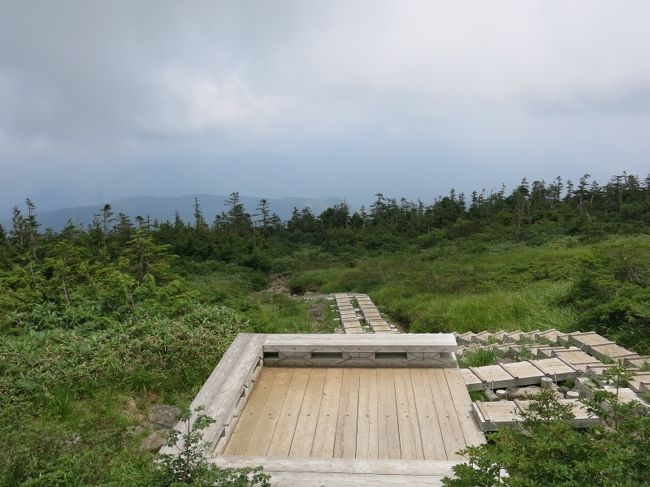 ここは斜面の中腹にあって見晴らしもそこそこ。<br />下の芝が混んでいたら、ここまで来てから休憩するもよし。