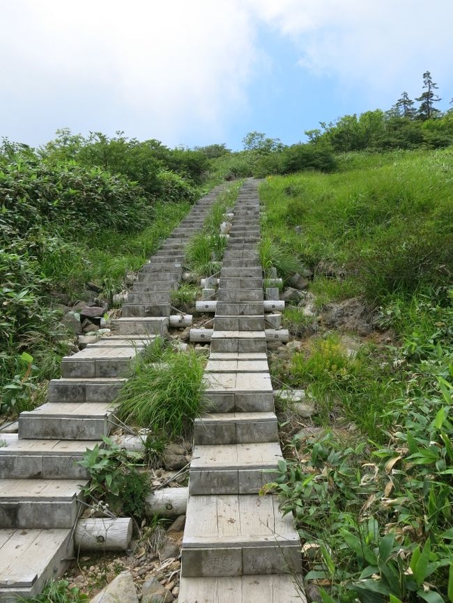 登りが続くが、木道が整備されていて、花も観察できるし、あまり苦にならない。