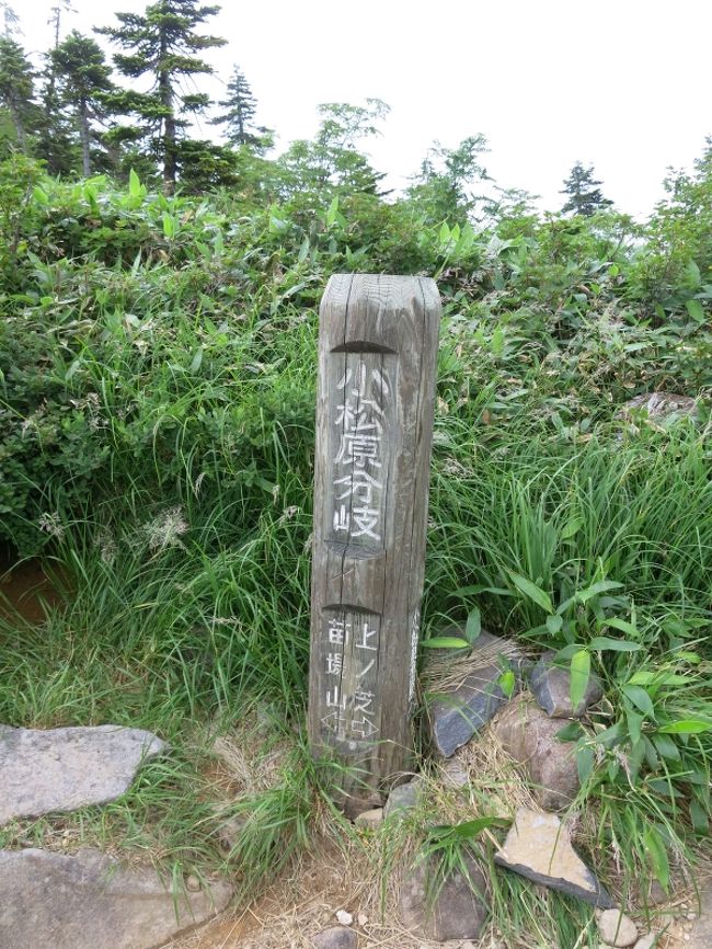 小松原分岐を過ぎ、、、<br />まだまだ登りは続く