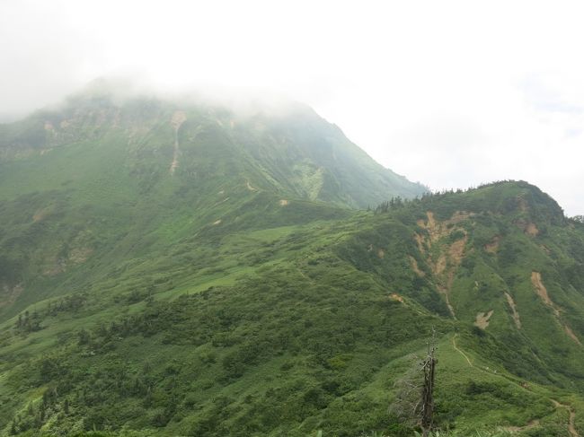 いよいよ苗場山の山頂と、それに至る稜線も見えてきて