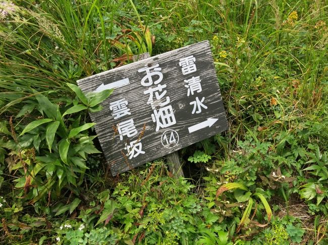 なるほど、そういうことだったか