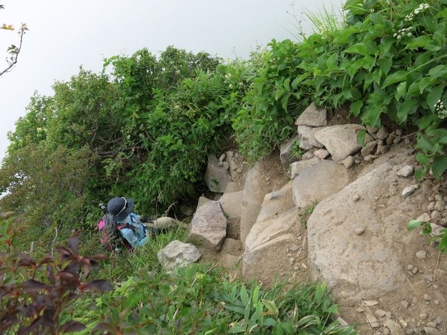 いきなりの急登<br />ガスが濃くて谷底見えず。<br />それはそれでコワイ。