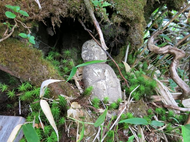 晴れた日ならいざ知らず、曇天・ガスガスの時にはあまり見たくない。