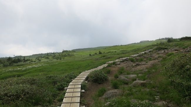 急登を登り切ると、突然コレ。<br />想像を超えた視界。<br /><br />ウワァ〜〜<br /><br />というカンジ。