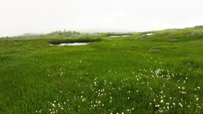 そして池塘群。<br />これを見たくてここまで来た。