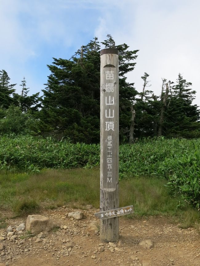 大平原を眺めながら歩き、ちょっと奥まった所の標柱へ。<br />苗場山到着！　14:28<br />駐車場から5時間ほどだった。